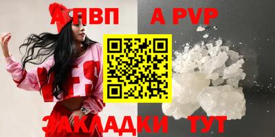 стаф Кунгур